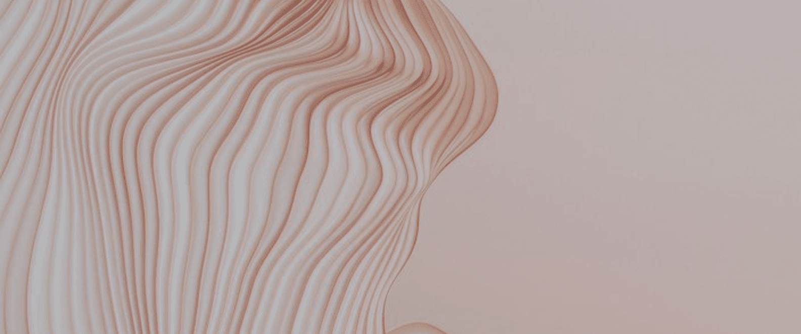Why We Built a Transparent, No-Hidden-Fees Booking System